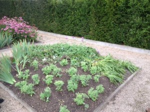Picture showing the flower bed after repairs